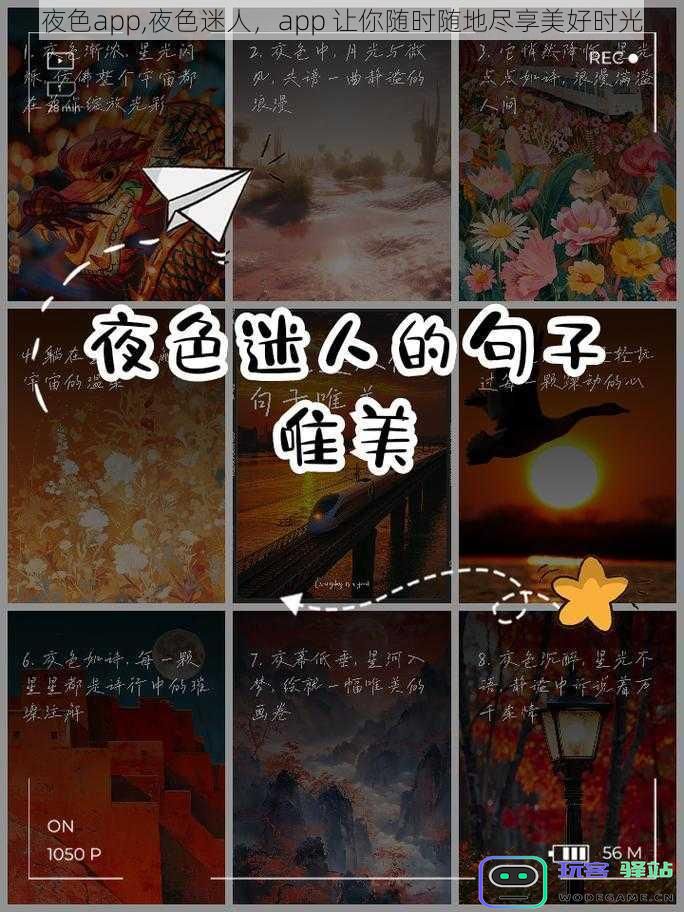 夜色应用,迷人夜晚,随时随地带你畅享美好时光的绝佳体验