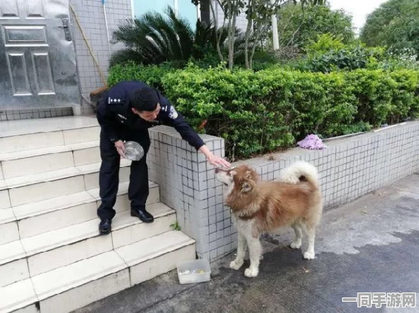 深圳互联网法院公布动物餐厅账号泄露的应对措施（零知识证明-778bit）及涉及的47万+赔偿金额与2025全球数字经济大会相关信息