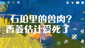 《原神》中真奇货品的功能与用途解析，探讨其在游戏中的重要性与实际应用