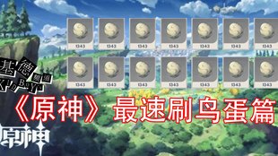 原神游戏中有丰富鸟蛋资源的地点寻找指南