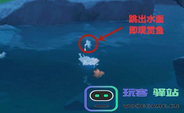 原神观赏鱼去哪钓