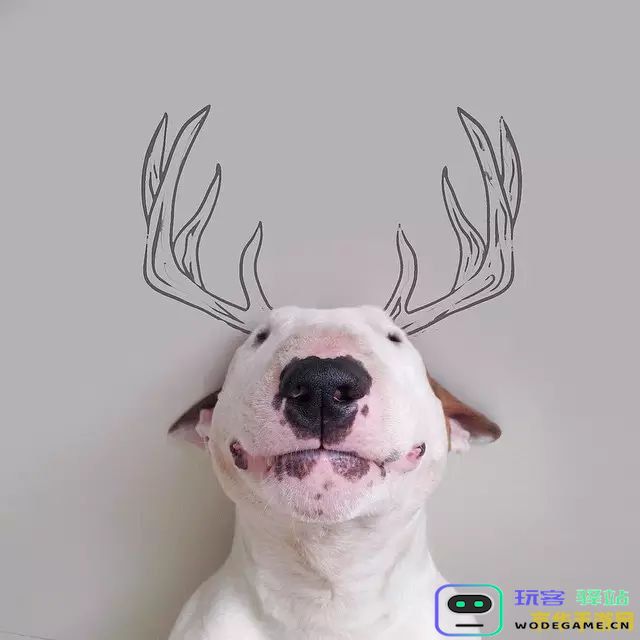 原神石门狗怎么赶走