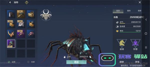 妄想山海新手宠物排行 妄想山海新手宠物攻略