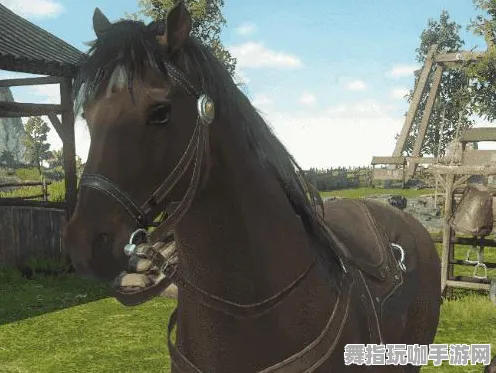 《逆水寒》坐骑获取-实时更新-每日热修-抖音小游戏-策略战棋 《逆水寒》坐骑获取-实时更新-每日热修-抖音小游戏-策略战棋