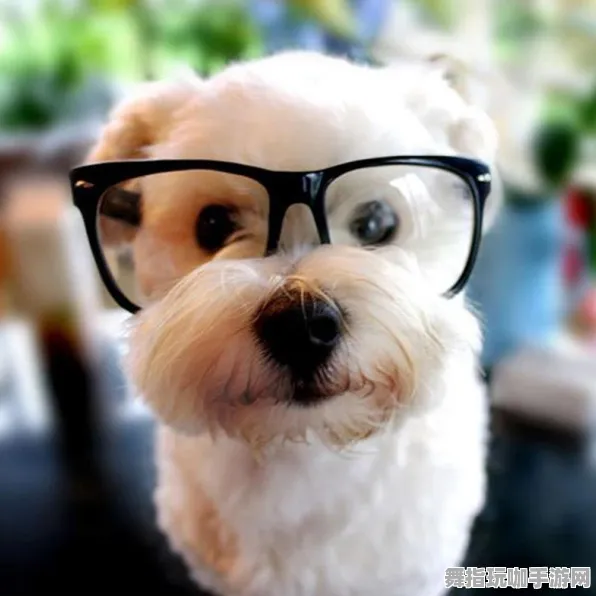 《恋与制作人》宠物培养-今日热修V1.2-VR一体机-模拟经营-MOD制作教程 《恋与制作人》宠物培养-今日热修V1.2-VR一体机-模拟经营-MOD制作教程