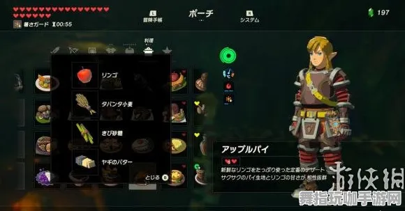 《塞尔达传说》剧情分支解析-2025春季最新优化-跨平台联机-体育竞技-速通技巧 《塞尔达传说》剧情分支解析-2025春季最新优化-跨平台联机-体育竞技-速通技巧