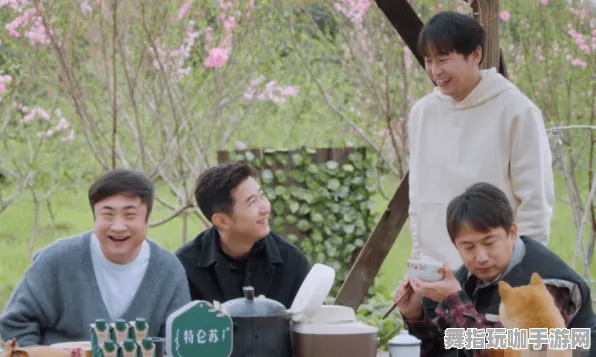 《原神》生活职业-动态更新-每日修复-网页平台-生存与建筑指南