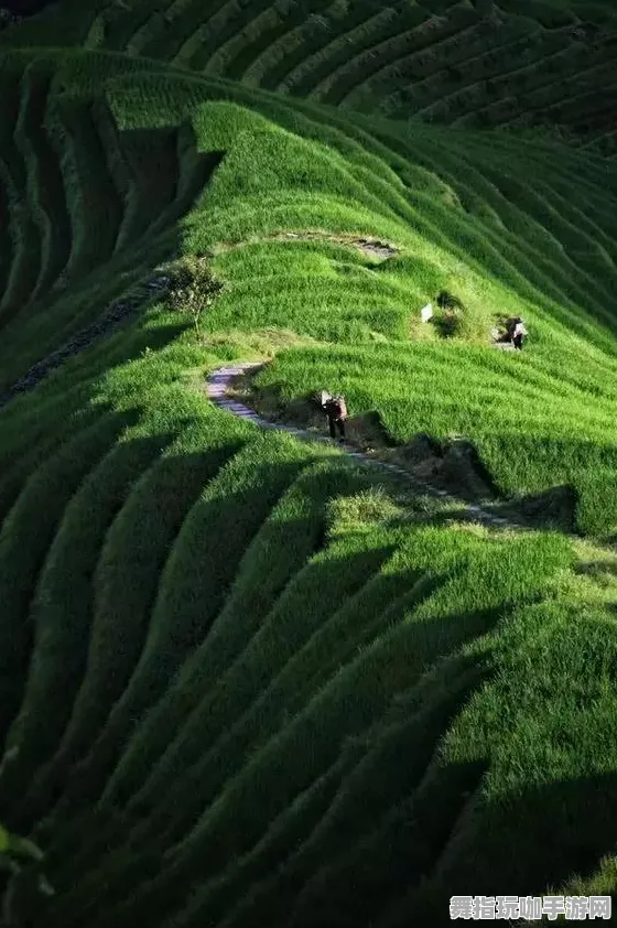 《和平精英》天梯排名-国庆前瞻-Linux专属-跨平台联机 《和平精英》天梯排名-国庆前瞻-Linux专属-跨平台联机