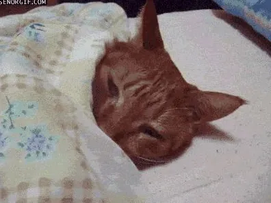 《第五人格》宠物培养-今日热修V1.2-网页端-模拟经营-BOSS战教学 《第五人格》宠物培养-今日热修V1.2-网页端-模拟经营-BOSS战教学