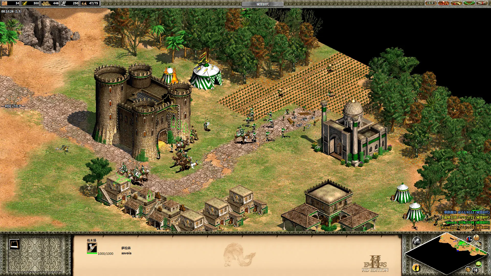 帝国时代2沙拉丁第四关怎么玩 帝国时代2沙拉丁第四关怎么玩