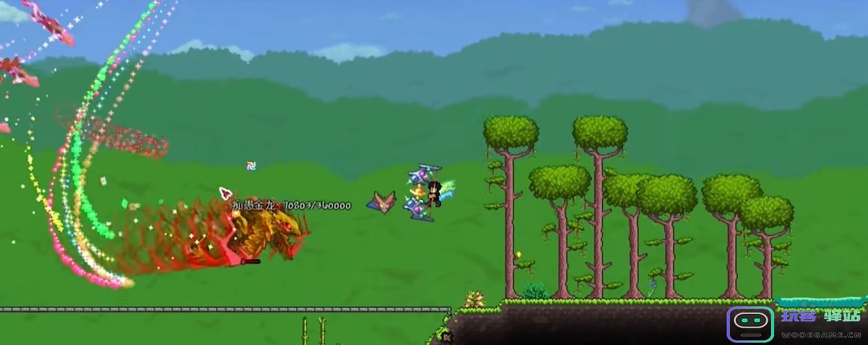 泰拉瑞亚痴愚金龙的技能是什么 泰拉瑞亚痴愚金龙的技能是什么