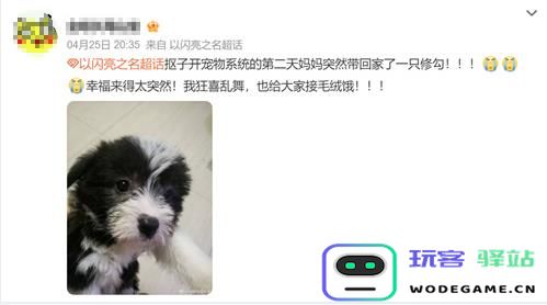 强推!申请以闪亮之名游戏加入养宠人必入清单