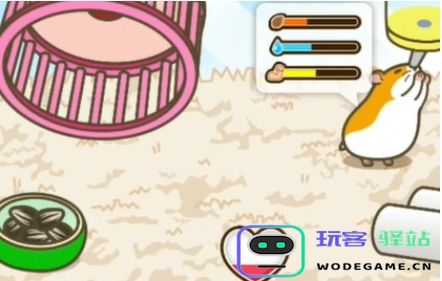蜡笔小新之小帮手大作战照顾仓鼠怎么过-照顾仓鼠过关攻略