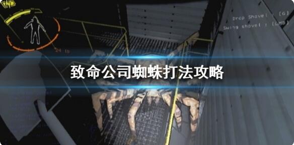 致命公司蜘蛛怎么打