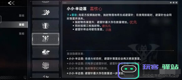 苍翼混沌效应中雷其儿的风雷流玩法解析与实战经验分享