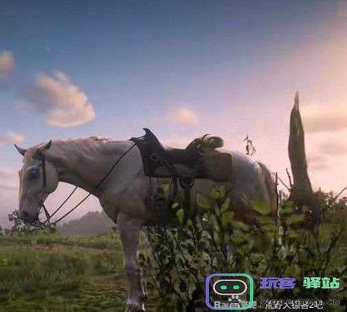 《荒野大镖客2》中各类马匹的位置获取指南