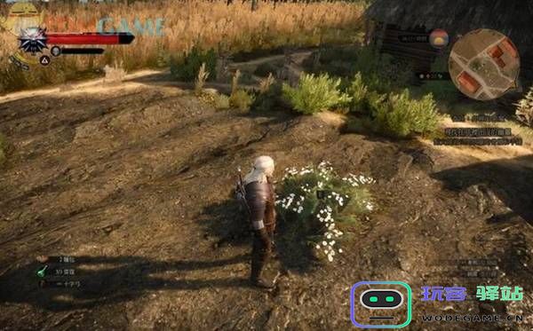 《巫师3》井边的恶魔支线详细-walkthrough-任务攻略与注意事项分析