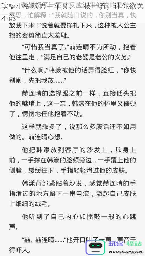 软糯小受双男主车文，车技一流，让你欲罢不能