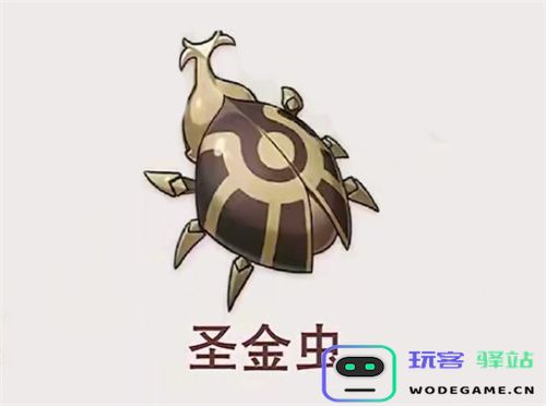 原神圣金虫的刷新时间间隔究竟是多久？详细介绍原神圣金虫的刷新周期