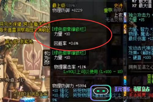 dnf绿色力量徽章的来源及绿色力量智力徽章获取途径详解