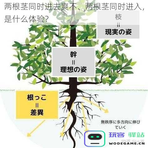 两根茎同时进去爽不、两根茎同时进入，是什么体验？