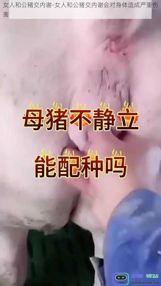 女性与公猪交配后的内伤风险-对身体健康造成严重威胁的警示