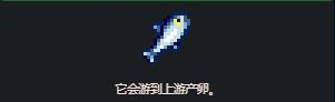 星露谷物语鲑鱼收集技巧分享，助你轻松捕获鲑鱼的方法