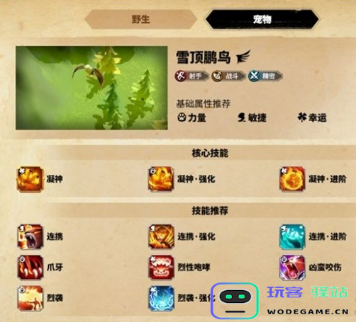 万龙觉醒森尼因多宠物选择指南，如何挑选最适合的宠物推荐