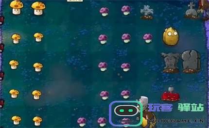 PVZ抽卡版冒险模式2-2过关攻略分享