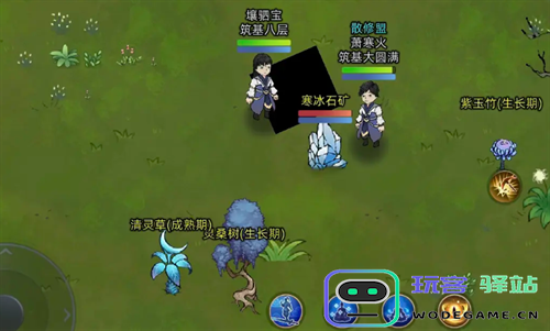 修仙家族模拟器2灵植的获取攻略与详细说明