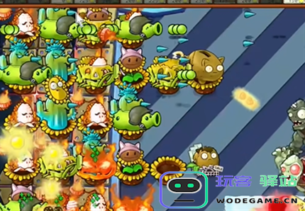 pvz杂交版英雄模式终极计划通关详解