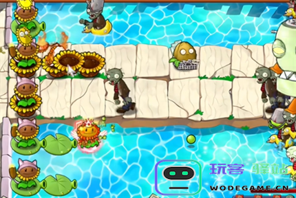 pvz杂交版英雄模式埃德加二世过关攻略