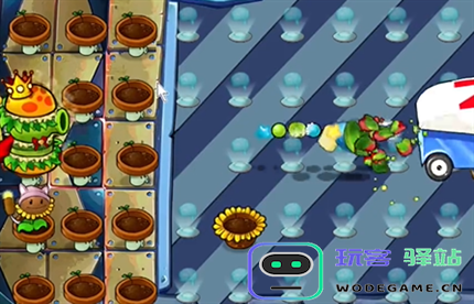 pvz杂交版英雄模式全息大脑的秘密过关攻略