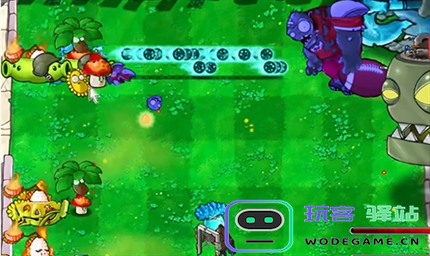 pvz杂交版英雄模式狼狈为奸过关攻略