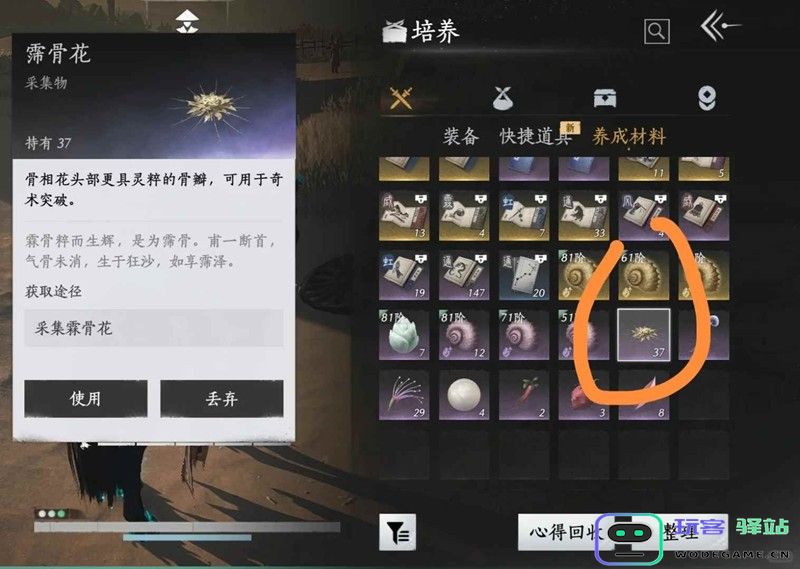 燕云奇妙箫声传千波 河西灵骨花技艺升级速刷全攻略