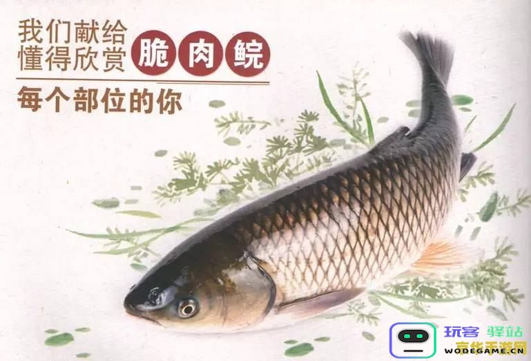 原神鱼类 原神鱼类生态与垂钓指南