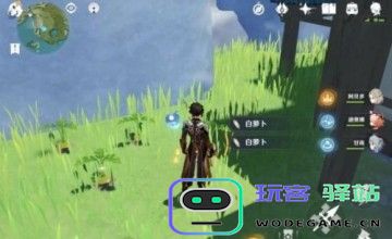 在原神中探讨白萝卜香菱的独特魅力与料理技巧对角色的影响