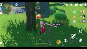 原神任务白萝卜哪里找