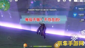 原神雷种子等级不足问题探讨：如何提升雷种子等级以解锁更多丰富的探索体验与乐趣