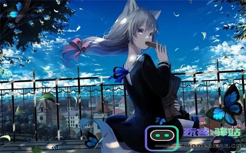 又大又长又租又大的房子叫什么歌：识此歌之寓意与情感深探
