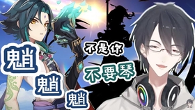 在《原神》中不收集风神瞳的意义与影响分析，探讨不同玩法的可能性