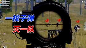原神新鲜的冷冻肉