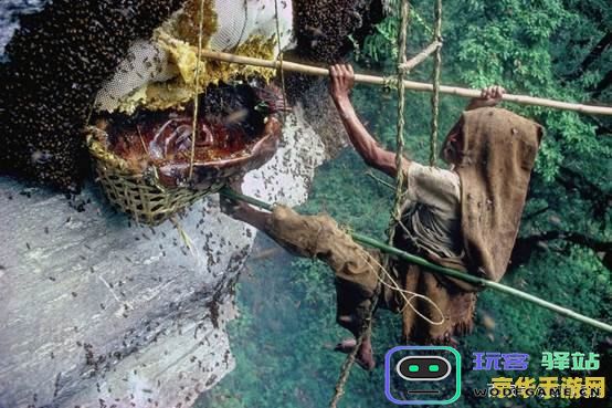 原神蛇骨矿洞悬崖边的雷神瞳在哪