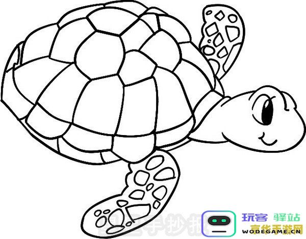 海灵芝简笔画原神 &lt;h1&gt;海灵芝简笔画原神&lt;/h1&gt;