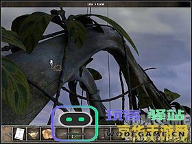 原神生命之树位置详细解析，探索原神中的生命之树及其周边秘境
