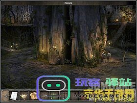 原神生命之树在哪 原神中的生命之树探索