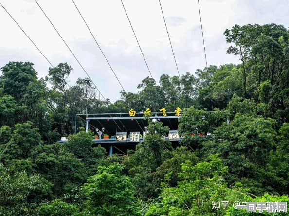 广州白云区哪里好玩:本地人私藏五大秘境深度解密与避坑指南