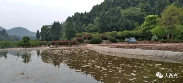广州白云区景区，生态转型背后的文旅突围战