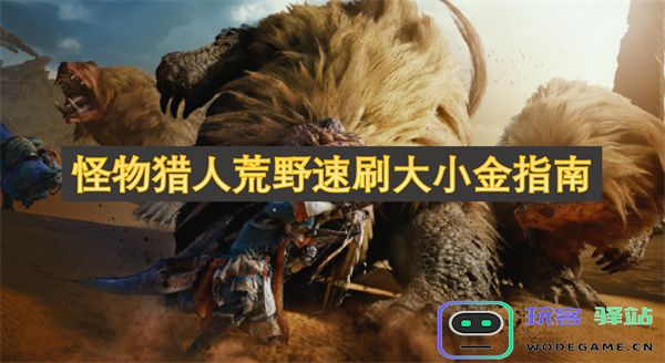 怪物猎人荒野中如何快速刷取大小金的有效攻略与技巧分享