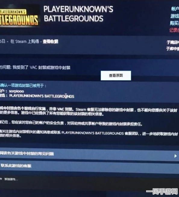 飞机大战外挂封禁技术升级:采用物理外设检测(100ms响应)逆向工程实录应对涉诉金额58万+技术审计标准（2025暑